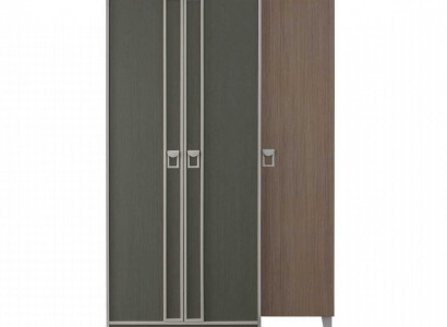 Wooden cabinet wardrobe children's wardrobe cabinet wood gray design